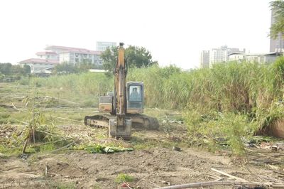 曹溪片區攻堅克難 浮蔡棚改項目集中清表助力土地高效整理